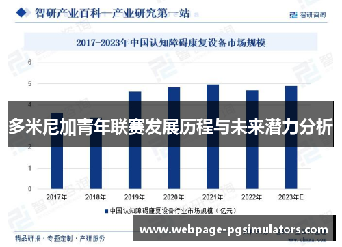 多米尼加青年联赛发展历程与未来潜力分析