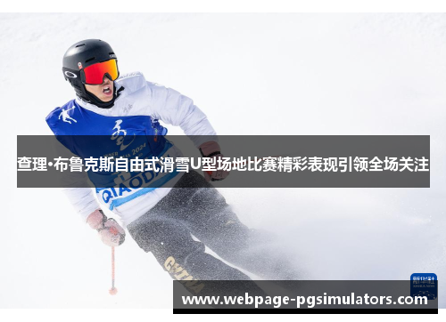 查理·布鲁克斯自由式滑雪U型场地比赛精彩表现引领全场关注
