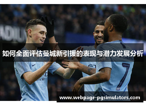 如何全面评估曼城新引援的表现与潜力发展分析
