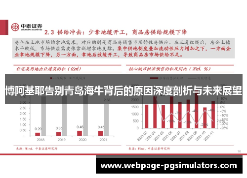 博阿基耶告别青岛海牛背后的原因深度剖析与未来展望