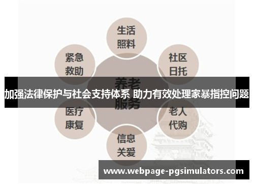 加强法律保护与社会支持体系 助力有效处理家暴指控问题