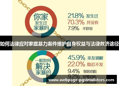 如何法律应对家庭暴力案件维护自身权益与法律救济途径