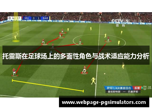托雷斯在足球场上的多面性角色与战术适应能力分析