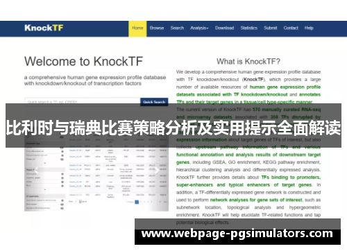 比利时与瑞典比赛策略分析及实用提示全面解读