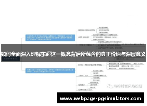 如何全面深入理解东超这一概念背后所蕴含的真正价值与深层意义