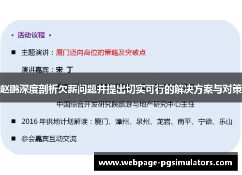 赵鹏深度剖析欠薪问题并提出切实可行的解决方案与对策