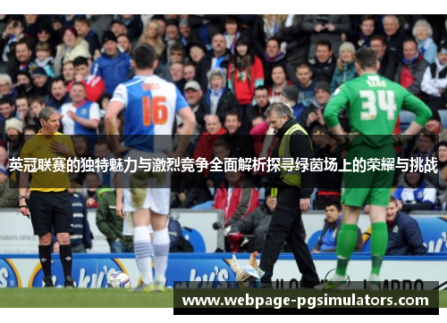 英冠联赛的独特魅力与激烈竞争全面解析探寻绿茵场上的荣耀与挑战