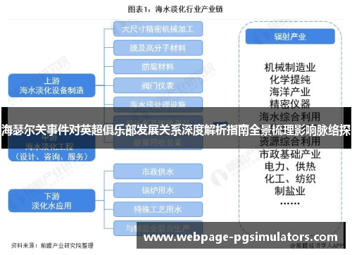 海瑟尔关事件对英超俱乐部发展关系深度解析指南全景梳理影响脉络探 海瑟尔关事件对英超俱乐部发展关系深度解析指南全景梳理影响脉络探