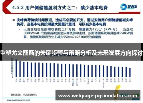重塑尤文图斯的关键步骤与策略分析及未来发展方向探讨 重塑尤文图斯的关键步骤与策略分析及未来发展方向探讨