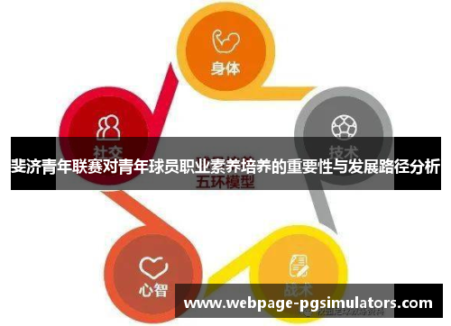 斐济青年联赛对青年球员职业素养培养的重要性与发展路径分析