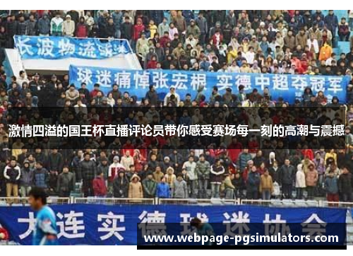 激情四溢的国王杯直播评论员带你感受赛场每一刻的高潮与震撼