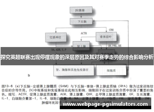 探究英超联赛出现停摆现象的深层原因及其对赛季走势的综合影响分析